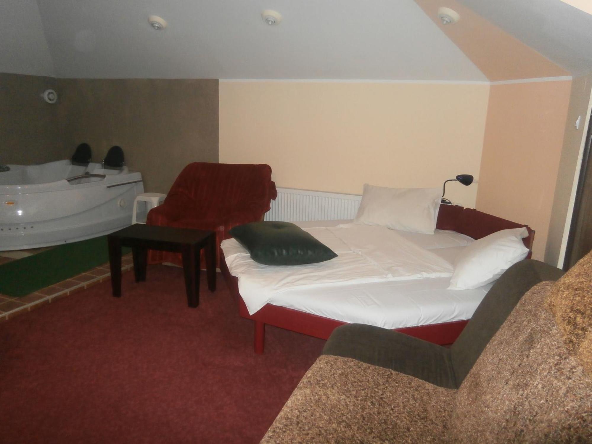 Hotel Vila Mitic Luxx Spa Centar Leskovac  Rom bilde